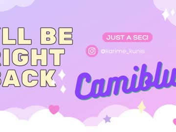 Image profile from camiblue
